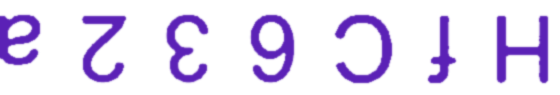 Option B diagram