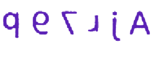 Option D diagram