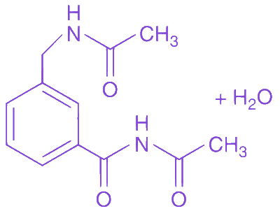 Option C diagram