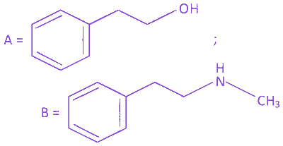 Option D diagram