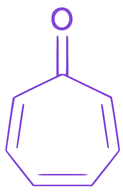 Option D diagram