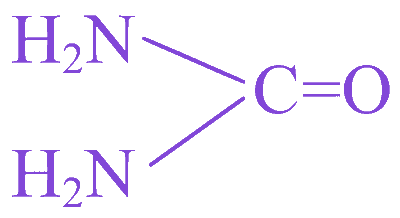 Option A diagram