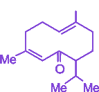 Option A diagram