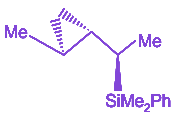Option B diagram