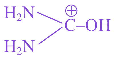 Option B diagram