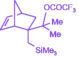 Option D diagram