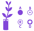 Question diagram