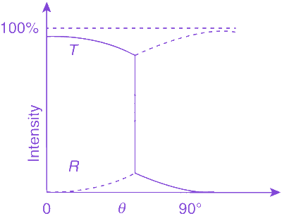 Option D diagram