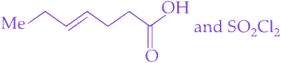 Option B diagram