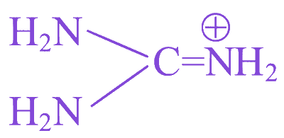 Option D diagram
