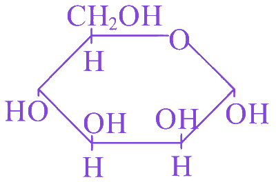 Option D diagram