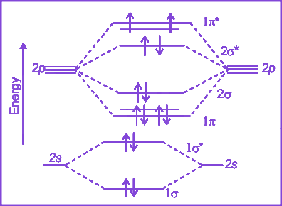 Option B diagram