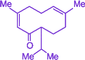Option C diagram