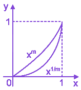 Option C diagram