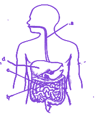 Question diagram