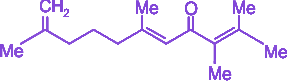Option D diagram