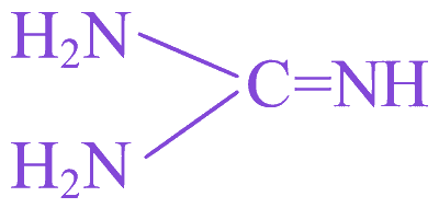 Option C diagram