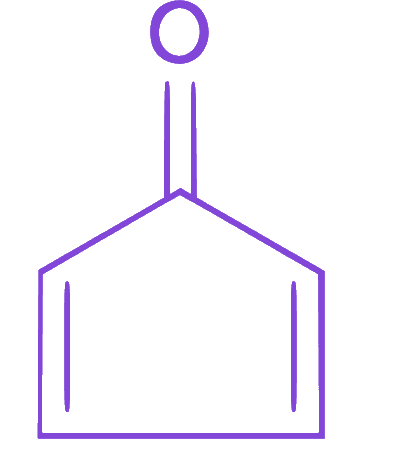 Option C diagram