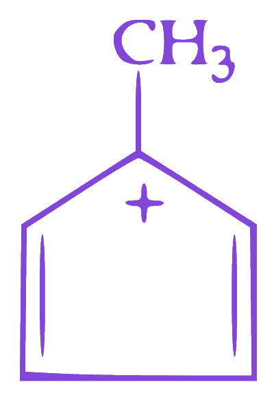 Option C diagram