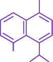 Option C diagram